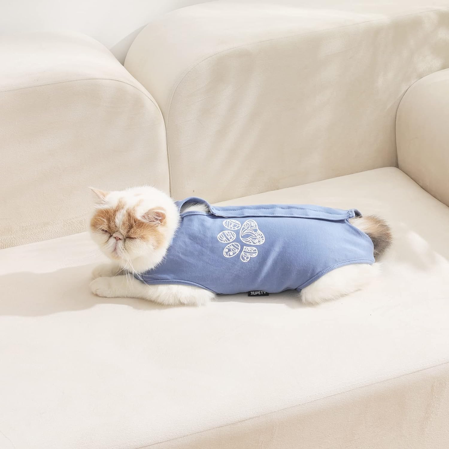 Cat surgery suit best sale