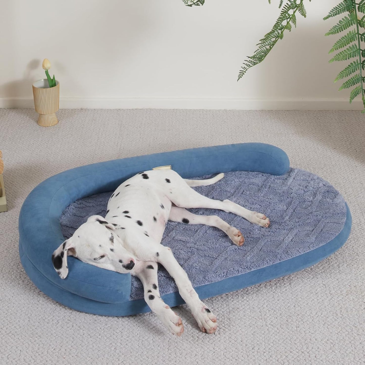 Luxury Waterproof Dog Bed - Egg-Crate Foam, Oval Pillow