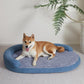 Luxury Waterproof Dog Bed - Egg-Crate Foam, Oval Pillow