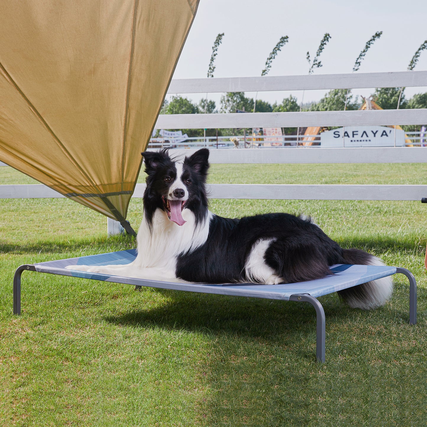 Elevated Cooling Dog Bed - Durable & Breathable for All Sizes, Indoor/Outdoor