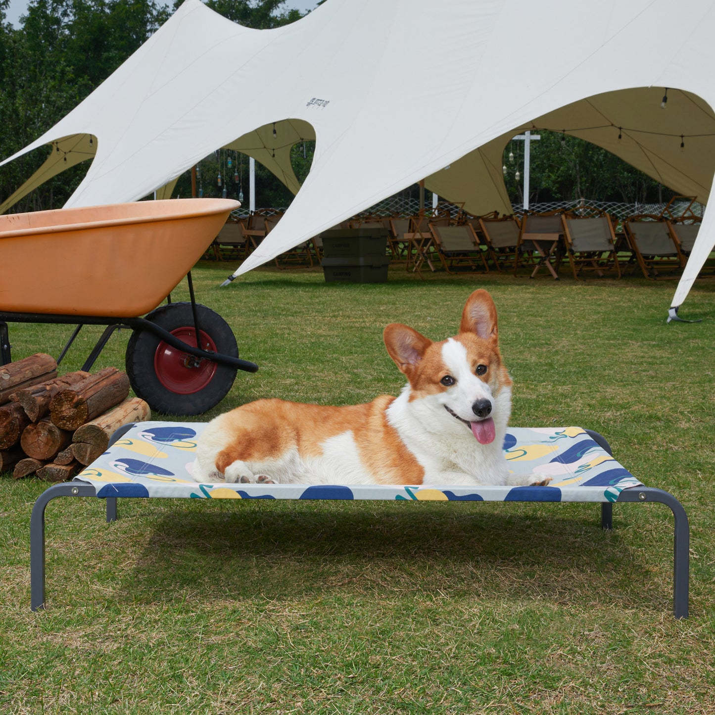 Elevated Cooling Dog Bed - Durable & Breathable for All Sizes, Indoor/Outdoor