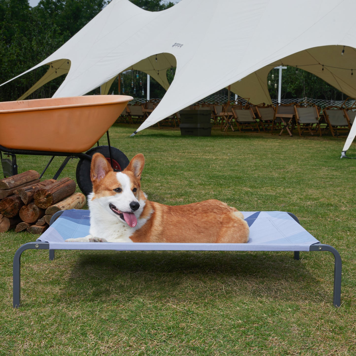 Elevated Cooling Dog Bed - Durable & Breathable for All Sizes, Indoor/Outdoor