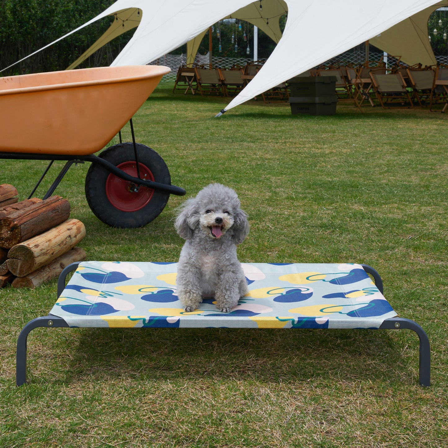 Elevated Cooling Dog Bed - Durable & Breathable for All Sizes, Indoor/Outdoor