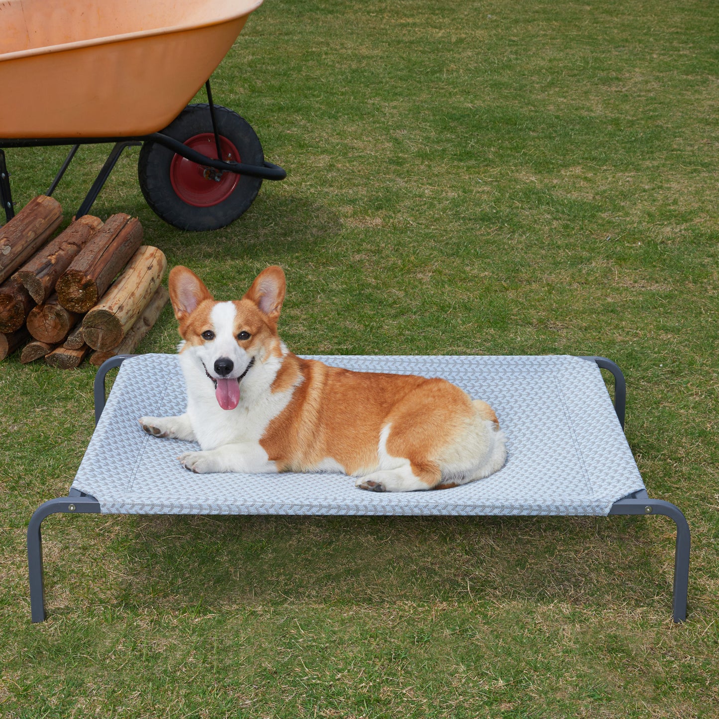 Elevated Cooling Dog Bed - Durable & Breathable for All Sizes, Indoor/Outdoor