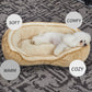 Oval Pet Bed - Cozy, Innovative Design, Plush Comfort, 100% PP Cotton Fill