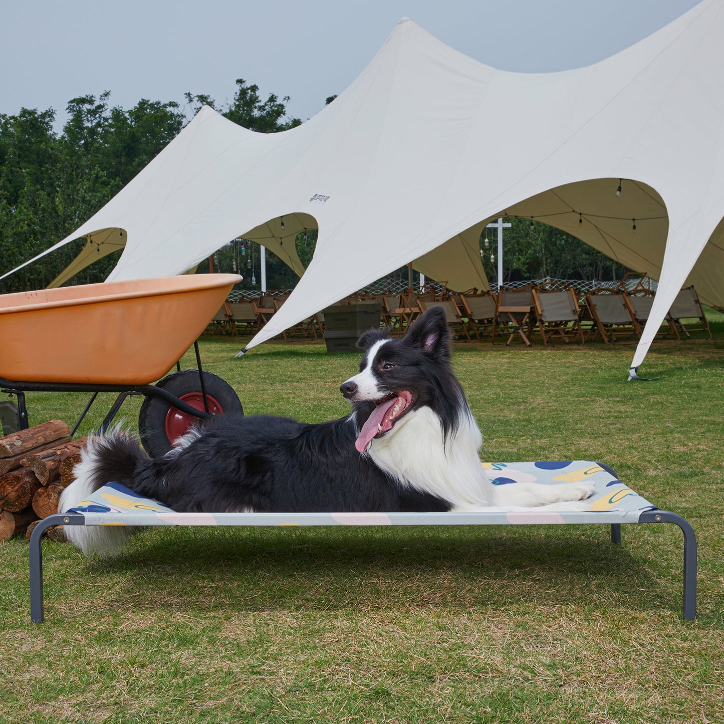 Elevated Cooling Dog Bed - Durable & Breathable for All Sizes, Indoor/Outdoor