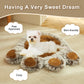 Paw-Shaped Plush Pet Bed - Cozy, Cute & Washer-Dryer Safe