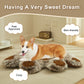 Paw-Shaped Plush Pet Bed - Cozy, Cute & Washer-Dryer Safe