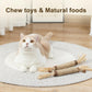 Interactive Catnip Chew Toys - Ideal for Cats, Kittens, Rabbits & Hamsters