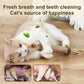 Interactive Catnip Chew Toys - Ideal for Cats, Kittens, Rabbits & Hamsters