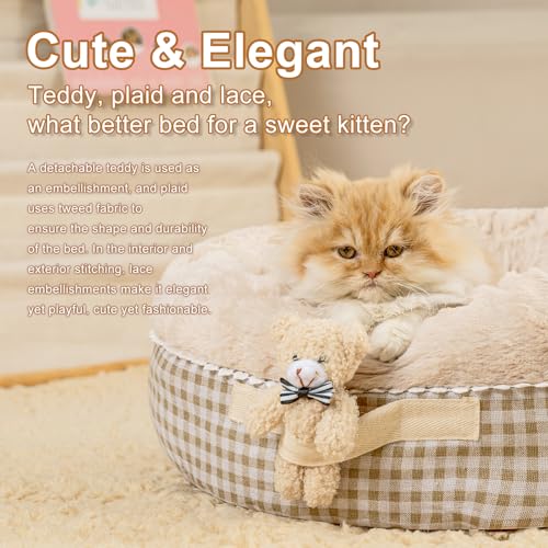 Teddy Donut Bed - Cozy for Indoor Cats & Small Dogs