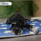 Thin Cotton Dog Crate Bed - Comfortable Mat Pads for Comfort