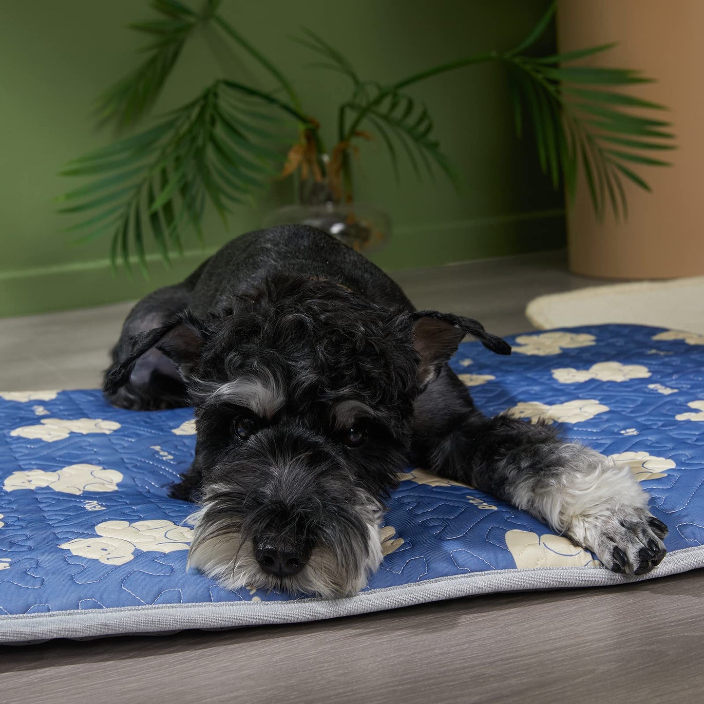 Thin Cotton Dog Crate Bed - Comfortable Mat Pads for Comfort