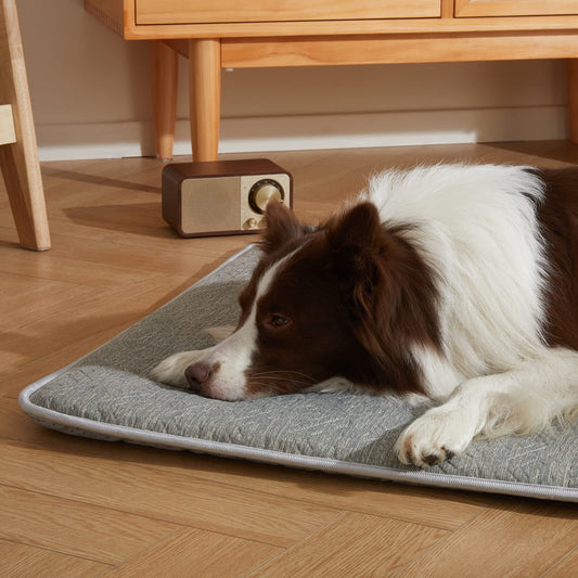 Thin Cotton Dog Crate Bed - Comfortable Mat Pads for Comfort