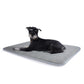 Thin Cotton Dog Crate Bed - Comfortable Mat Pads for Comfort