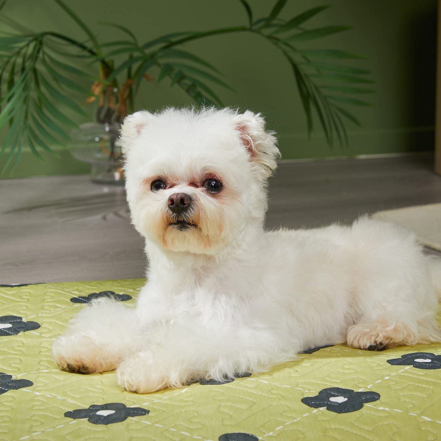 Thin Cotton Dog Crate Bed - Comfortable Mat Pads for Comfort