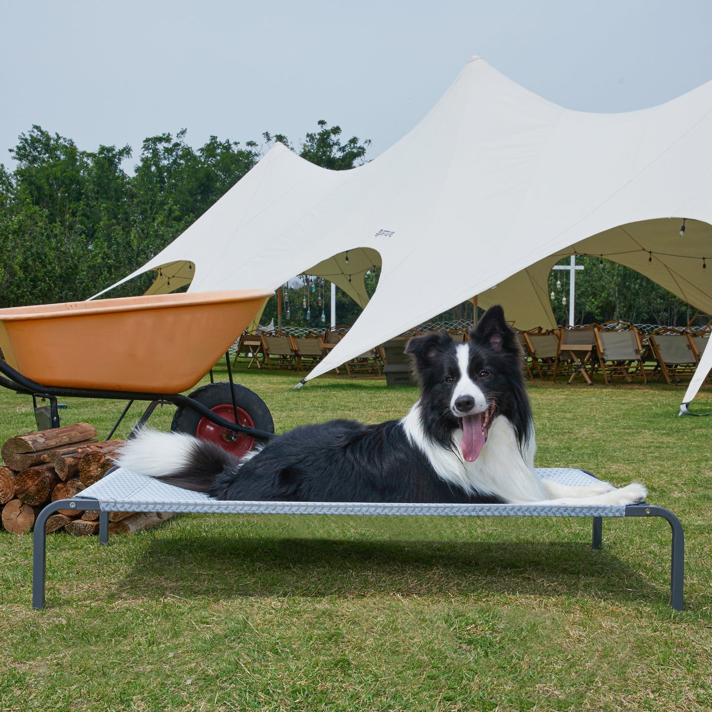 Elevated Cooling Dog Bed - Durable & Breathable for All Sizes, Indoor/Outdoor