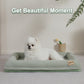 Orthopedic Dog Bed - Waterproof & Washable Comfort