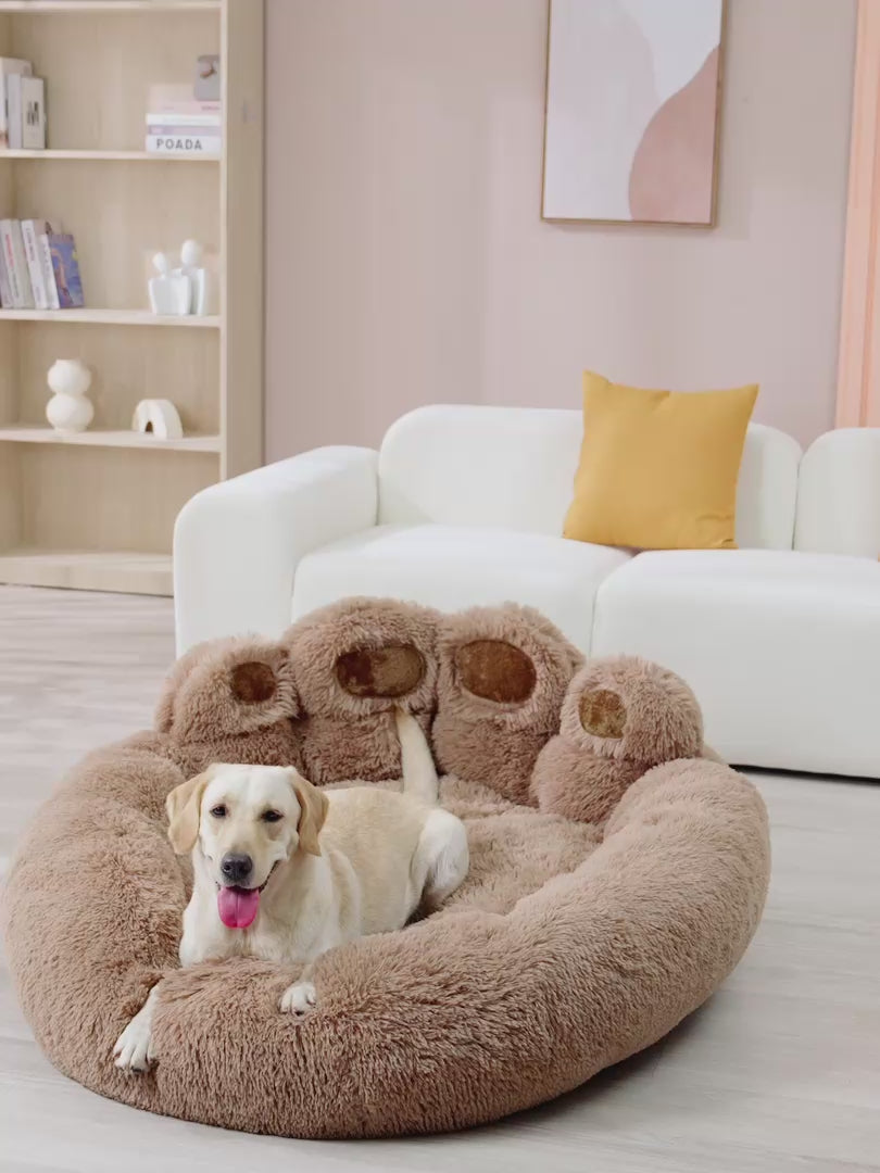 Paw shaped best sale dog bed