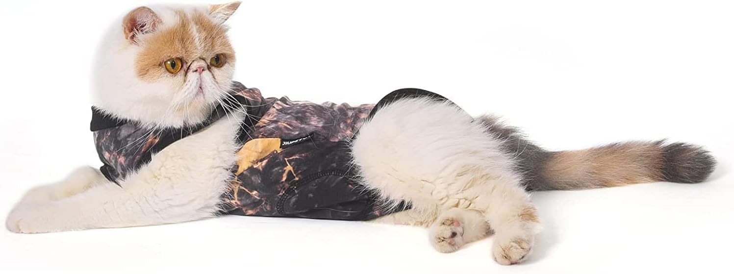 Cat Surgical Recovery Suit, Cat Bodysuit for Abdominal Wound after Surgery or Skin Diseases, Substitute E-Collar, M Size, Anti-Licking Surgical Cat Onesies, Blue & Paw.