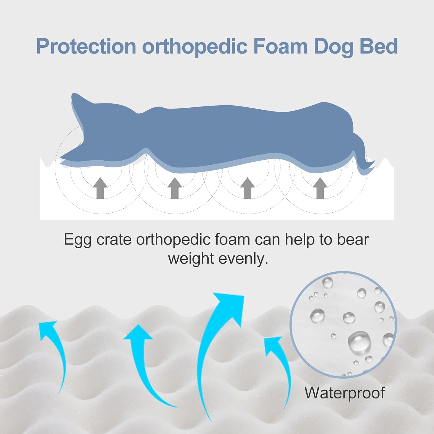 Orthopedic Dog Bed for Small Dogs, Waterproof Foam Dog Bed with Removable Washable Cover, Egg Crate Dog Sofa, Indestructible Dog Couch, Blue, M (28"×20"×4")