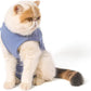 Cat Surgical Recovery Suit, Cat Bodysuit for Abdominal Wound after Surgery or Skin Diseases, Substitute E-Collar, M Size, Anti-Licking Surgical Cat Onesies, Blue & Paw.