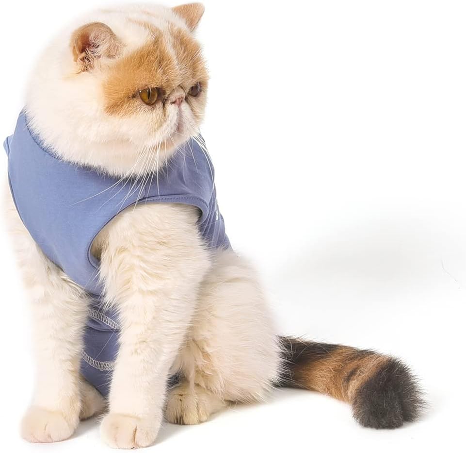 Cat Surgical Recovery Suit, Cat Bodysuit for Abdominal Wound after Surgery or Skin Diseases, Substitute E-Collar, M Size, Anti-Licking Surgical Cat Onesies, Blue & Paw.