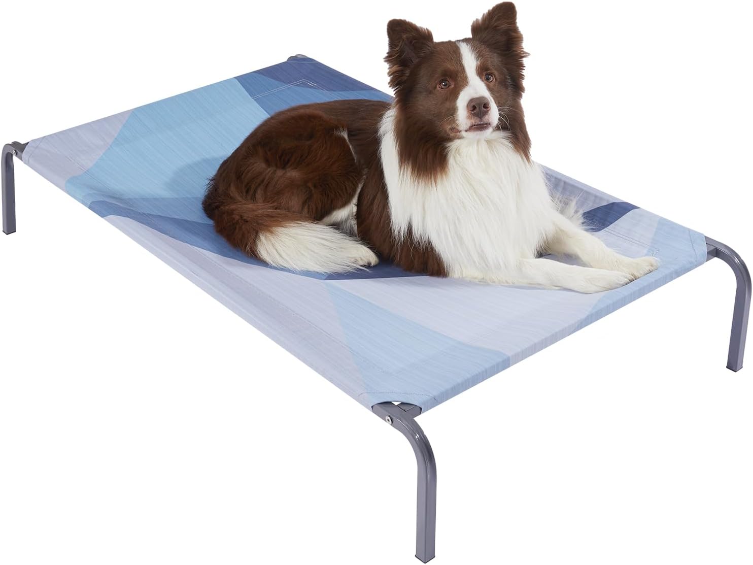 Elevated Cooling Outdoor Dog Bed, Durable Breathable Raised Dog Cots Beds, Portable Indoor & Outdoor Pet Hammock Bed for Extra Large Medium Small Dogs, M (36"×23"×6"), Blue.