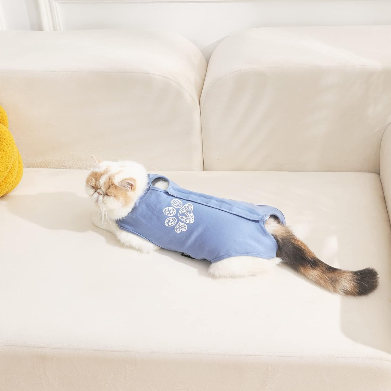 Cat Surgical Recovery Suit, Cat Bodysuit for Abdominal Wound after Surgery or Skin Diseases, Substitute E-Collar, M Size, Anti-Licking Surgical Cat Onesies, Blue & Paw.