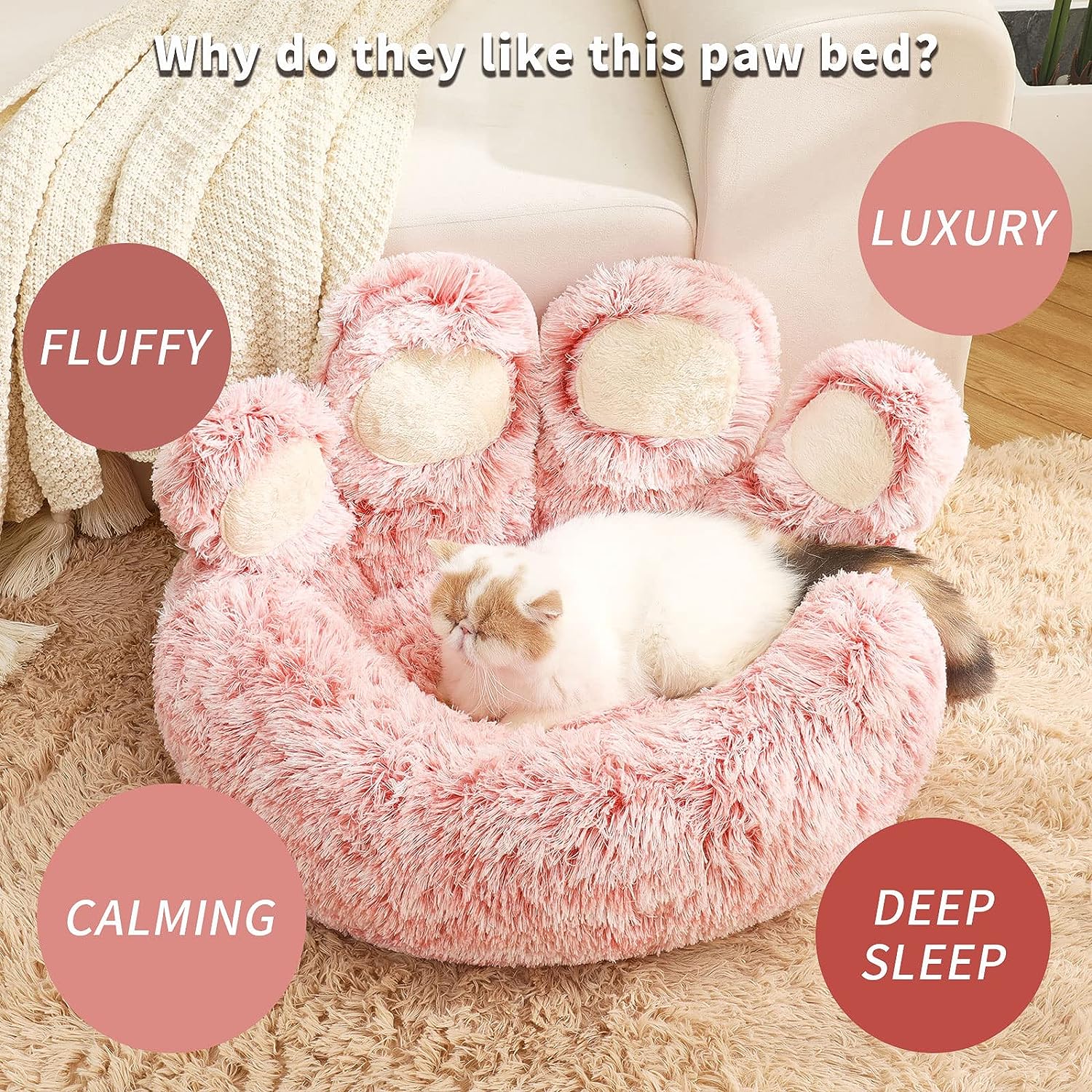 Paws donut sac dog bed hotsell