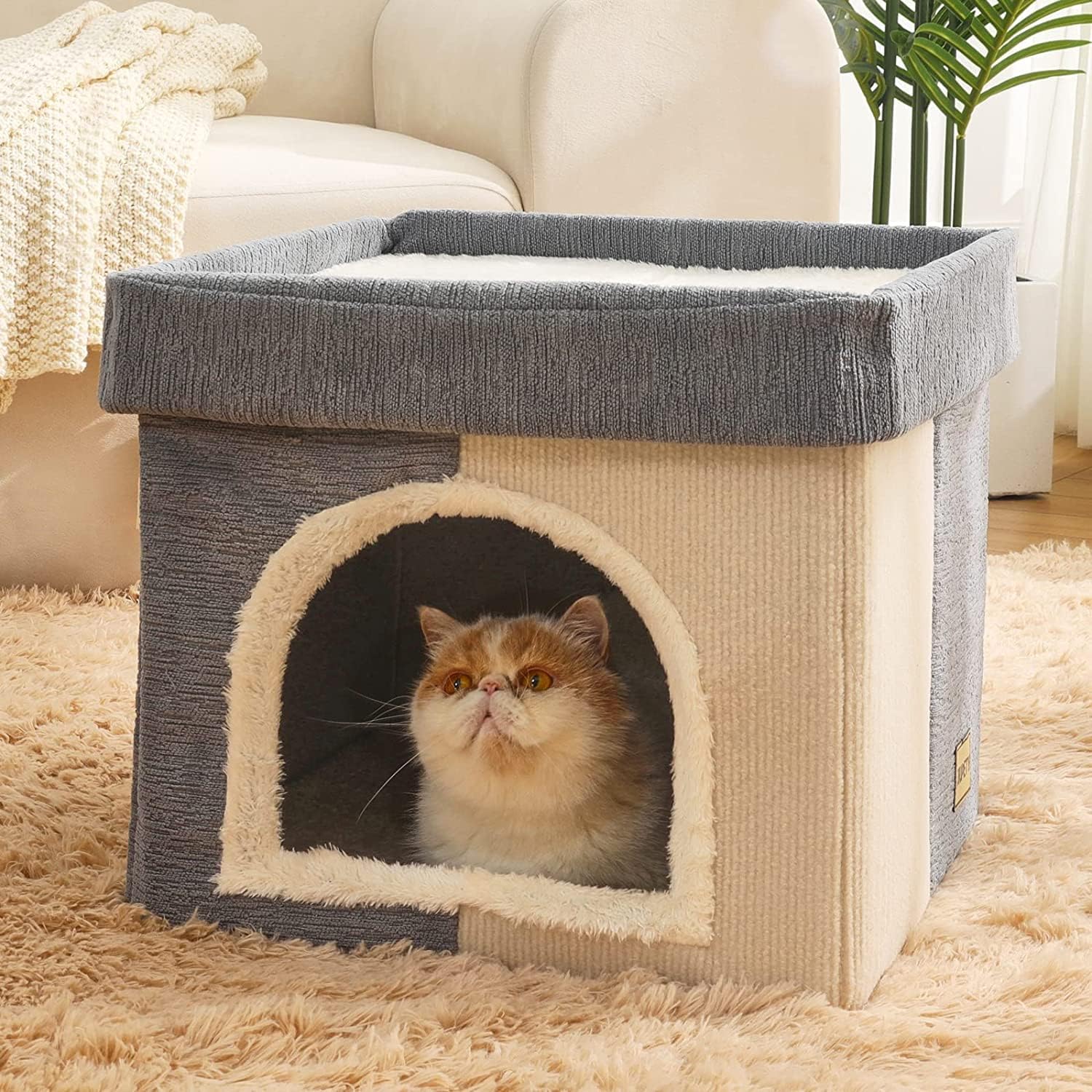 Cat Bed House | 2 in 1 Cat Houses for Indoor Cats | 16 Inch Cubic Large House | DIY | Multi-Colors (Sky Gray & White)