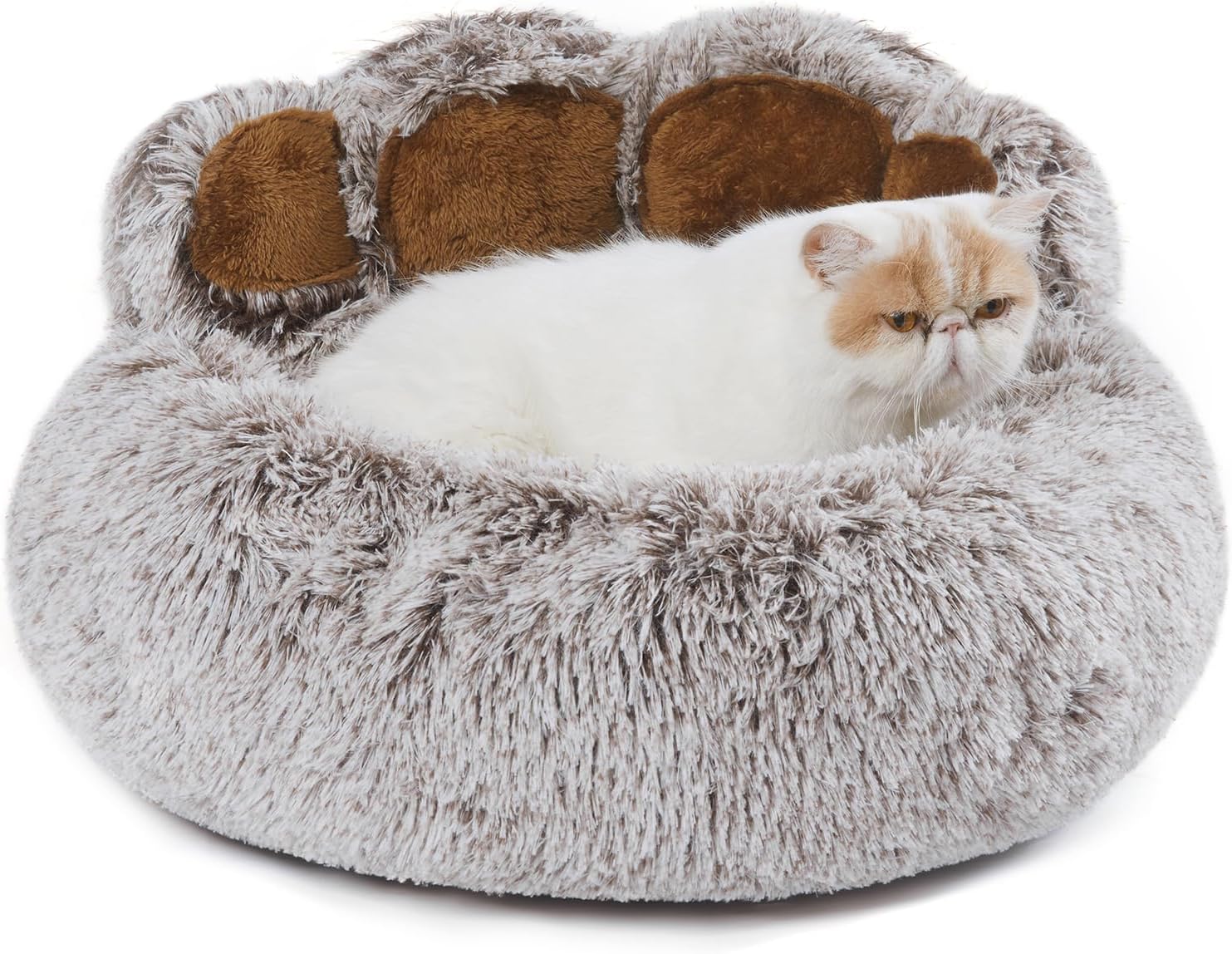 Dog Bed with Standing Paws | Upgraded Soothing Paw Dog Bed | Cozy Comfy Dog Bed | Creative Dog Donut Bed with Bear Paws | Gray M Size 22”X22â€?X6”| Pet Dog Bed for Dogs